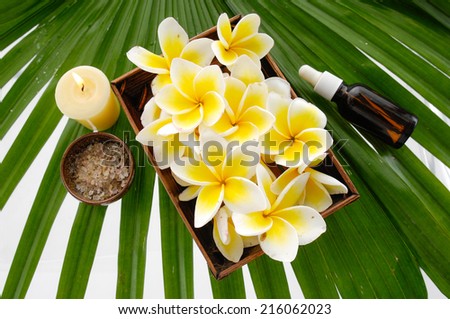 spa set with candle , frangipani flower in bowl ,oil  , on green leaf