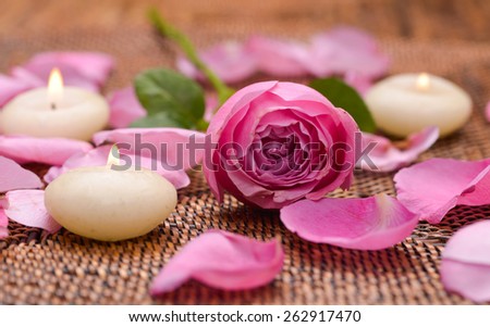 Still life with rose and petals with white candle on mat