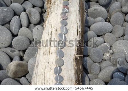 Row of stone on driftwood