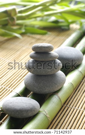 Spring bamboo plant on gray stones