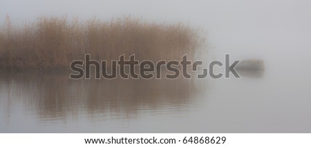 Mystical misty morning on the sea Bed of reeds reflected in the water