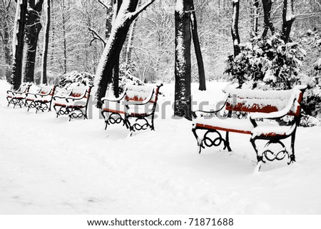 benches in the winter park filled in with the snow
