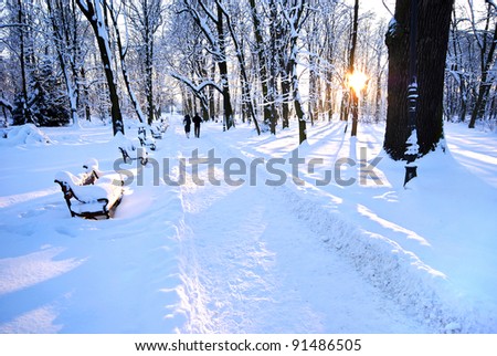 people walking in the beautiful winter park