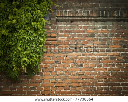 [Obrazek: stock-photo-red-brick-wall-with-green-iv...938564.jpg]