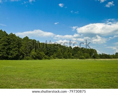 [Obrazek: stock-photo-green-meadow-landscape-with-...730875.jpg]