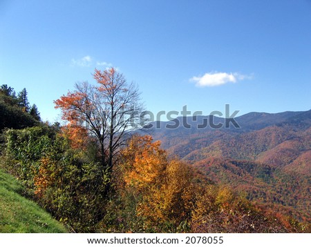mountains along the blue ridge parkway in the fall