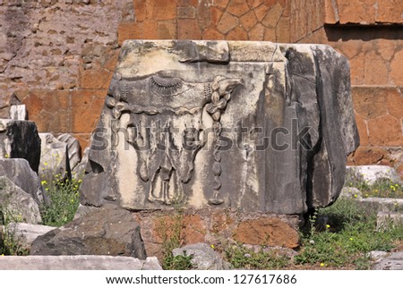 A stone block carved with a cow skull decoration created by the Roman Empire.  The block is located in the Roman Forum in Rome, Italy.
