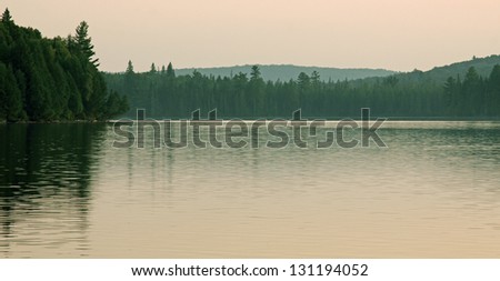 A wide-angle view of the treeline of Otterslide Lake in Algonquin Provincial Park, in Ontario, Canada.