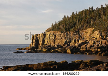 Otter Cliff in Acadia National Park, Maine, USA.  Shot in the golden light of day break.