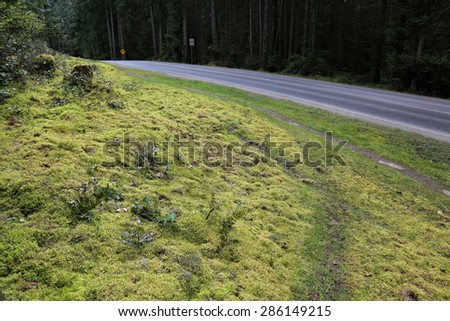 A trail running beside the road on Gabriola Island, just off Vancouver Island, in British Columbia, Canada.