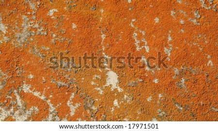 A background shot of orange mold on a rock.
