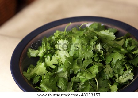 A bowl of fresh cilantro (coriander) leaves.