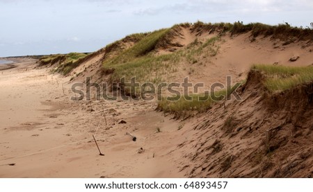 The sand dunes of Brackley Beach in Prince Edward Island National Park.