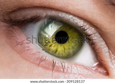 bright green eye close up