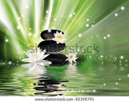 dark stones and lily flowers on the water surface