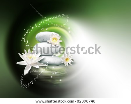 bright stones and lily flowers on the water surface