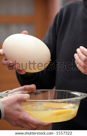 Ostrich egg - preparing an omelette