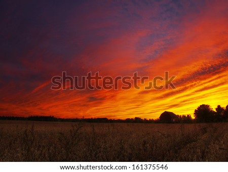 Corn field and barn with a dramatic sunset