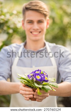 Male florist holding flower pot in flowers shop. Focus on flowers.