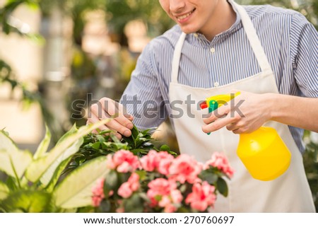 Close-up. Young handsome male florist spraying flowers in shop.