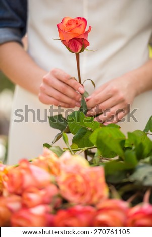 Close-up. Young female florist holding a rose.