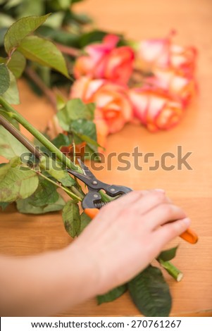 Close-up. Young female florist cutting a roses with secateur at flower shop.