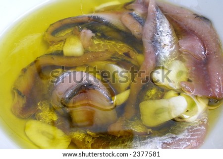 anchovy to bathe in oil