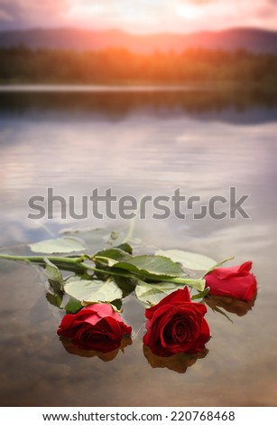 Roses on the water