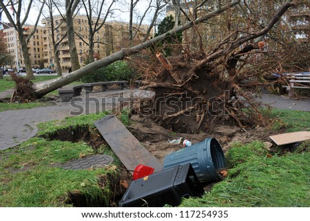 BROOKLYN, NY - OCTOBER 30: Tree felt down to the ground in the Sheapsheadbay neighborhood due to flooding from Hurricane Sandy in Brooklyn, New York, U.S., on Tuesday, October 30, 2012.