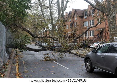 BROOKLYN, NY - OCTOBER 30: Fallen tree in the Sheapsheadbay neighborhood due to flooding from Hurricane Sandy in Brooklyn, New York, U.S., on Tuesday, October 30, 2012.