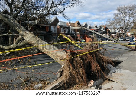 BROOKLYN, NY - NOVEMBER 03: Trees and electric poles felt down to the ground in the Sheapsheadbay neighborhood due to strong wind from Hurricane Sandy in Brooklyn, NY, U.S. on November 03, 2012.