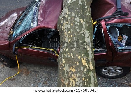 BROOKLYN, NY - NOVEMBER 03: Tree felt down to the car in the Sheapsheadbay neighborhood due to strong wind from Hurricane Sandy in Brooklyn, New York, U.S., on Saturday, November 03, 2012.