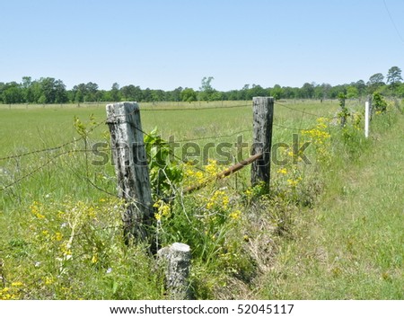 Vines on fence post in field