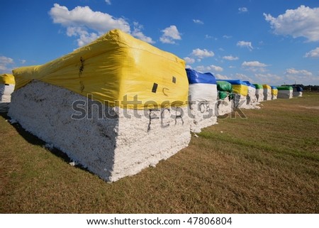 Large bales of raw cotton