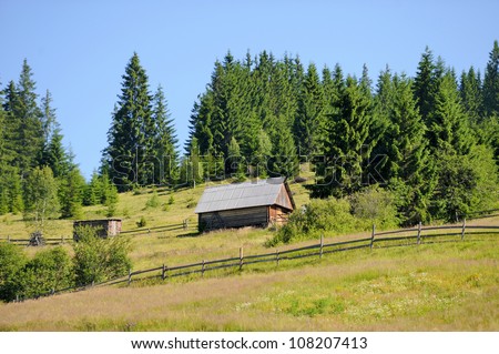 An old house in forest