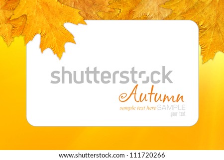 A beautiful autumn frame with leaves