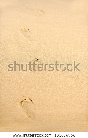 Human footprints on the beach sand leading away from the viewer