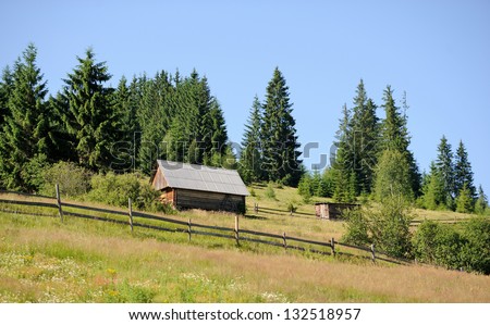 An old house in forest in summer day