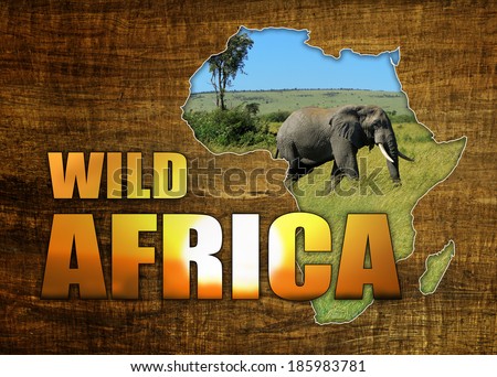 Africa Wildlife Map Design on papyrus