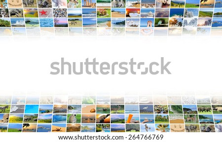 Nature photo (animal, landscape, beach). Collage background
