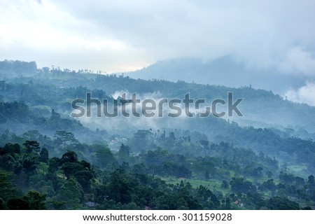 Forest and fog in the morning. Sri lanka island