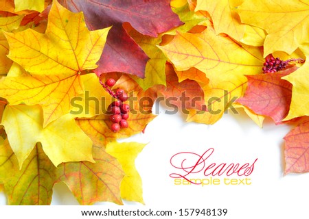 Border frame of colorful autumn leaves isolated on white