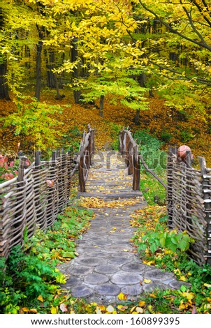 Bridge in bright autumn forest. Natural composition