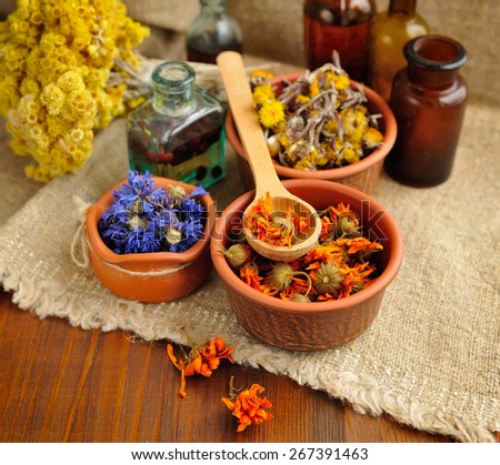 Healing herbs and tinctures in bottles on sackcloth, dried flowers, herbal medicine