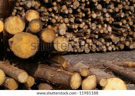 Log piles
