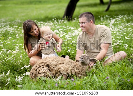 Young family is feeding sheep on the field