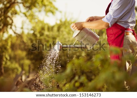 Young male gardener is watering plants in garden