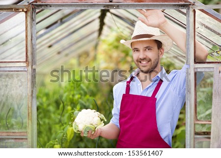Young male gardener working in the greenhouse