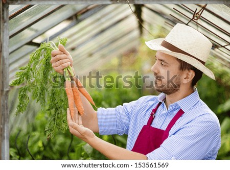 Young male gardener working in the greenhouse