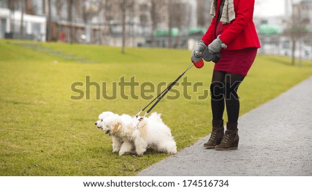 Winter outdoor portrait of pregnant woman in fashionable clothes walking two dogs